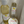 Load image into Gallery viewer, Rum Punch