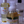 Load image into Gallery viewer, Subtle Summer (Cucumber Melon)